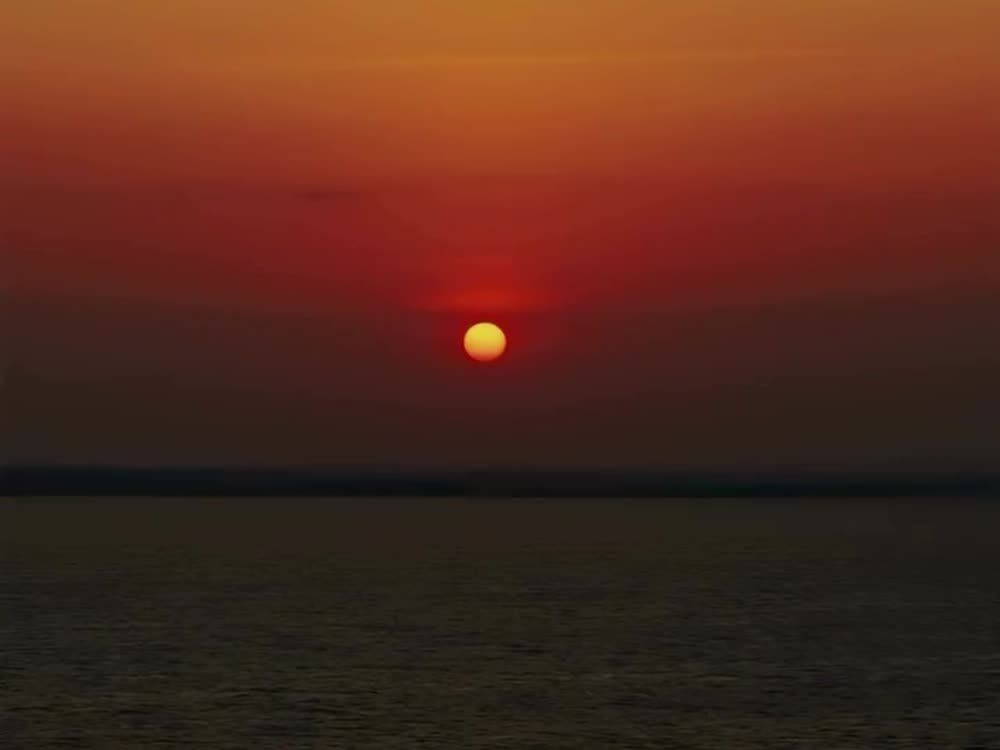 Dhow Sunset Cruise